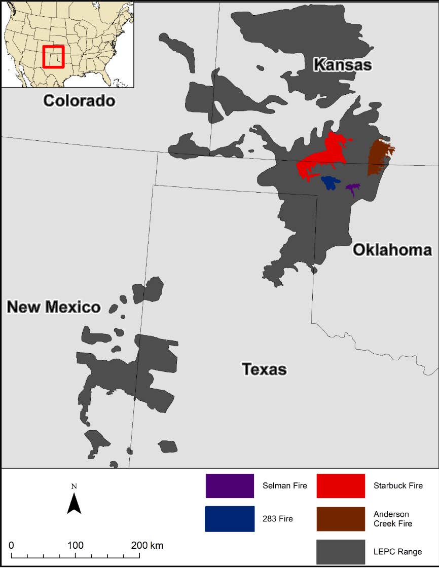Notable fire perimeters in the Mixed Grass Prairie Ecoregion of Kansas and Oklahoma in 2016 (Anderson Creek) and 2017 (Starbuck, 283, and Selman; McDonald et al. 2014). The Proposed research efforts will focus on areas impacted by the Starbuck fire which burned from 7 March – 12 March 2017. The presumed range of lesser prairie-chickens is also shown (Hagen and Giesen 2005).