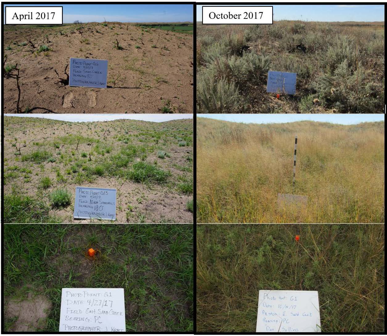 Photo points collected in Clark County, Kansas, on the Gardiner ranch in April 2017 (a month after the fire) and in the following October 2017. Photos on the left are from the same location and facing the same direction as photos on the right.