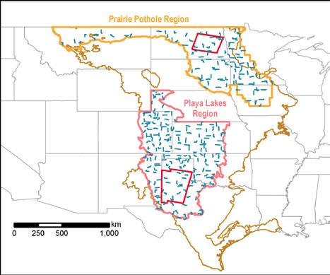 The U.S. portion of the N. American Great Plains (brown outline; Omernik level I ecoregion). Red outlines indicate focal areas in the Prairie Pothole Region (PPR) and Playa Lakes Region (PLR) where we have conducted pilot studies. Blue lines are North American Breeding Bird Survey (BBS) routes.