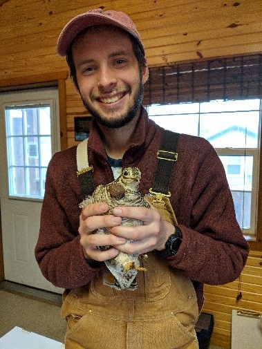 Liam Berigan holding female Lesser prairie-chicken (Tympanuchus pallidicinctus)