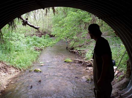 Underneath view of a road crossing