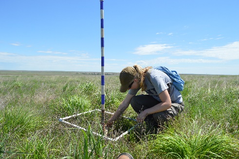 Checking the vegitation around a selected location