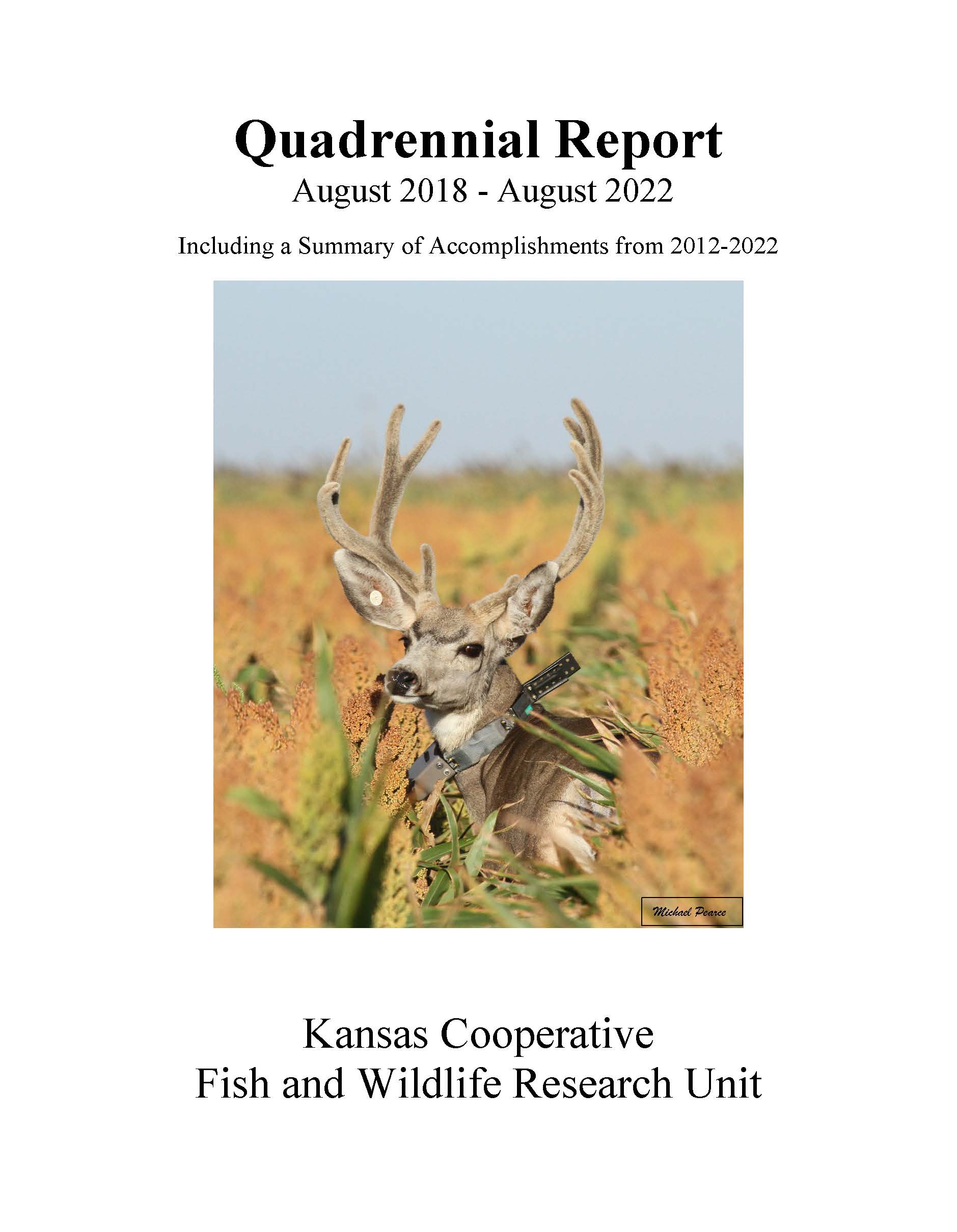 2022 Quadrennial Report