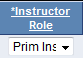 Select Instructor Role