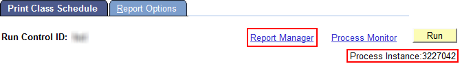 Picture including the Process Instance and Report Manager Link highlighted