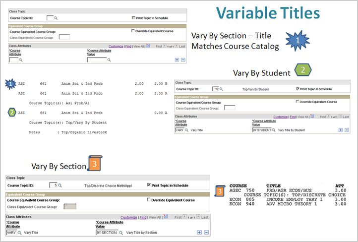 Graphic showing the 3 ways variable titles can be setup and the resulting transcript entries.