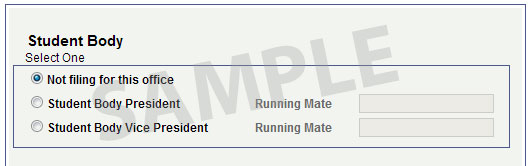 Choose which offices you want to file for