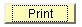 Print button