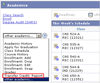 Picture of the Other Academic... drop list with Trasnfer Credit Report marked.