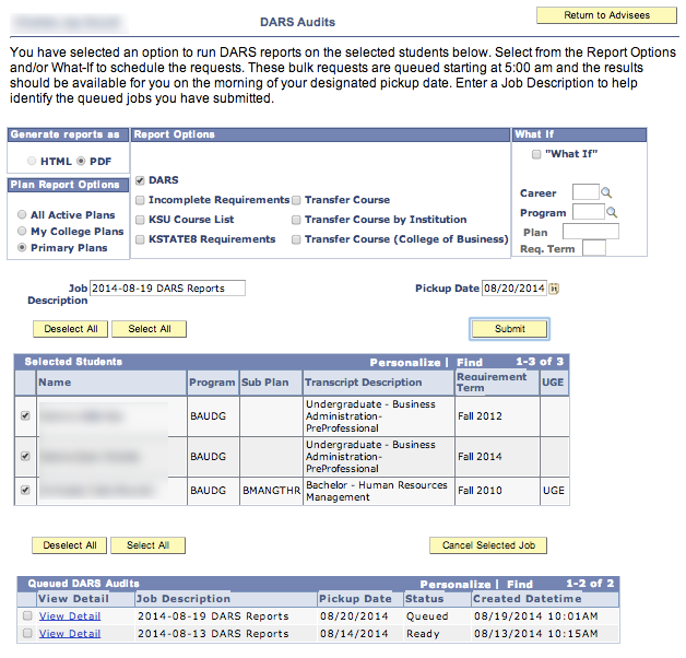 Degree Audit Report Screen