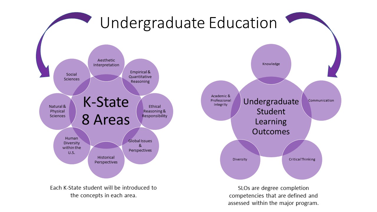 Map of Organization of K-State 8 and Learning Outcomes