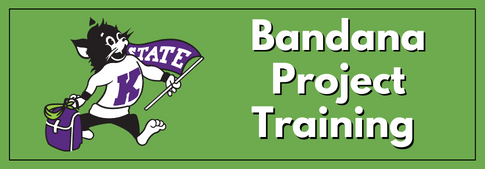 Bandana Project Website Button