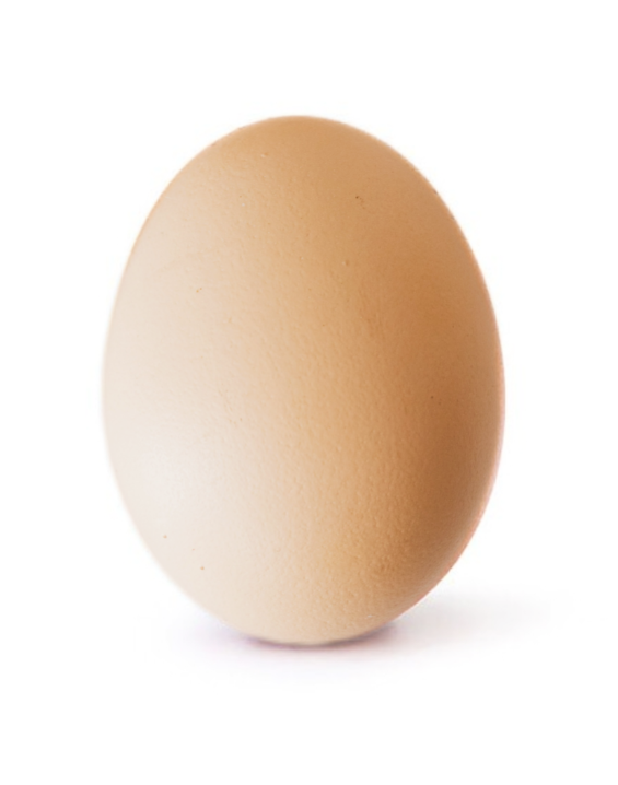 egg