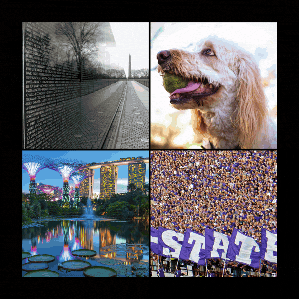 Rotating images of 2017 photography