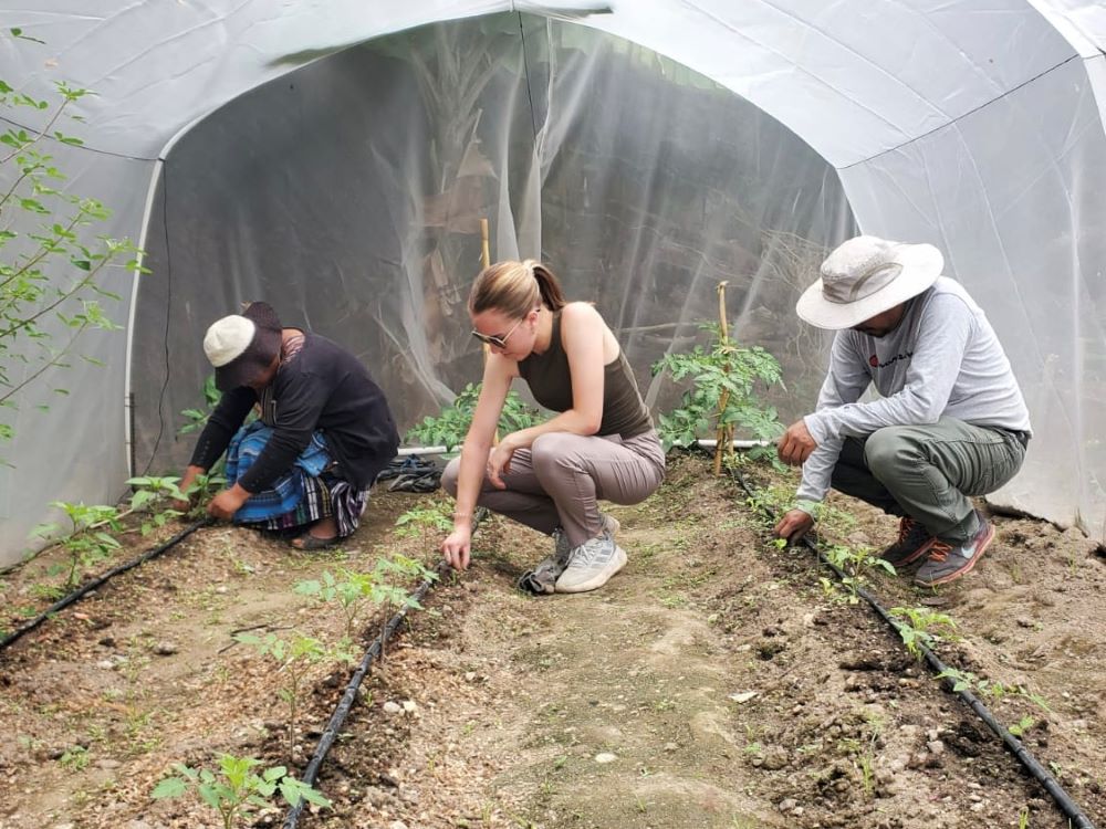student in guatemala plants alongside partners