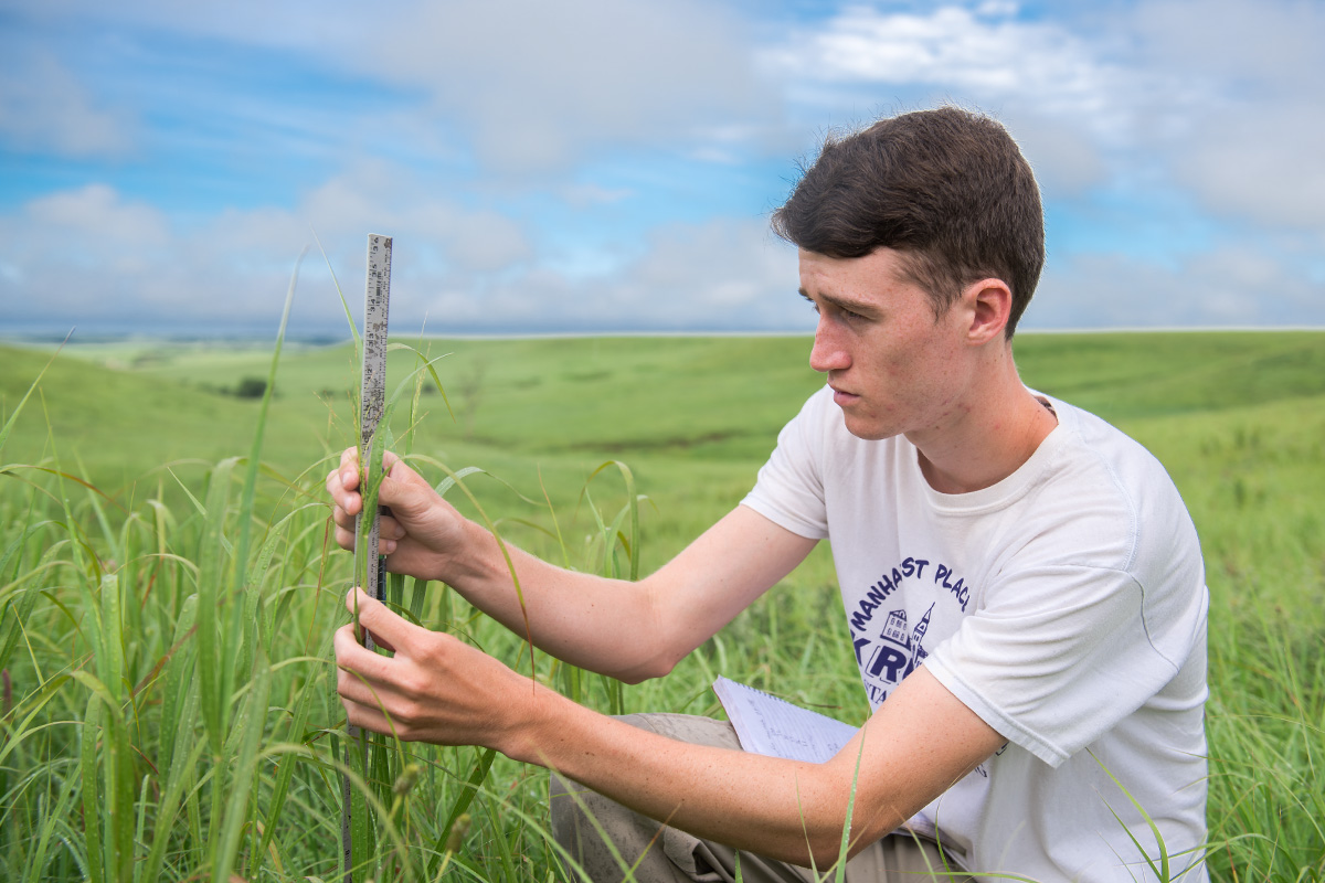 Image of student working on the Konza