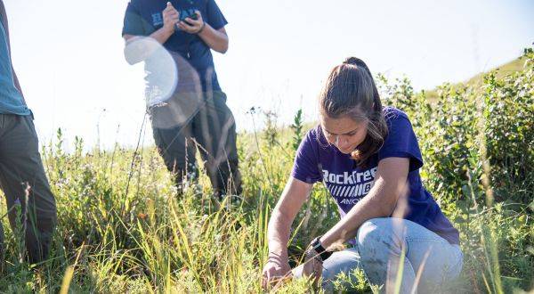 Student research in prairie field