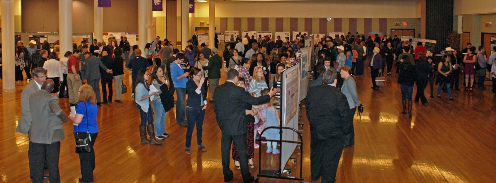 crowd