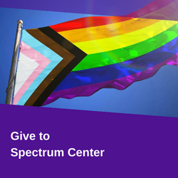 Spectrum Center - Foundation Giving Page Link