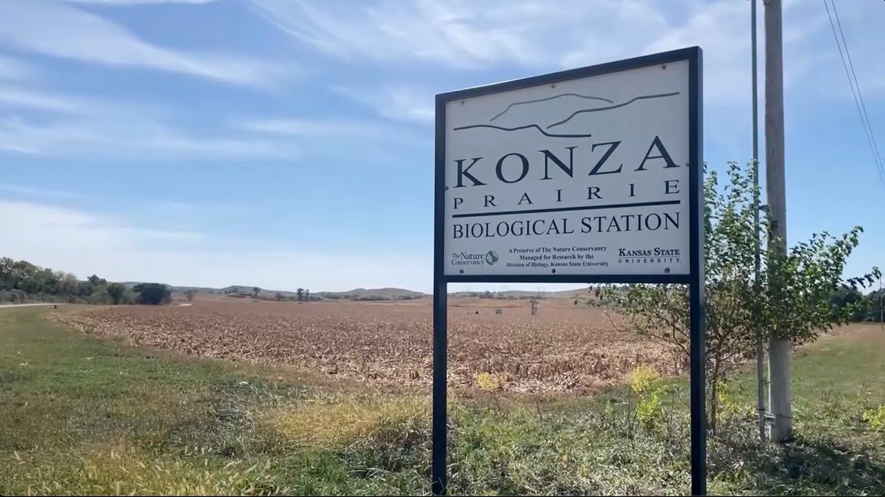 konzabio