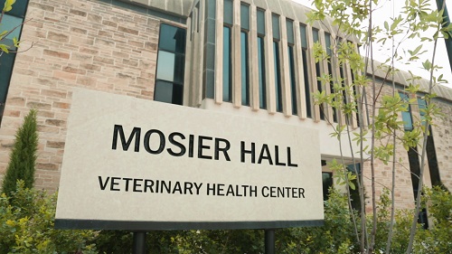 Photograph of Mosier Hall