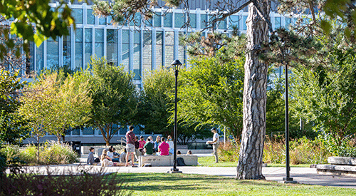 A class sits outside on a sunny day.