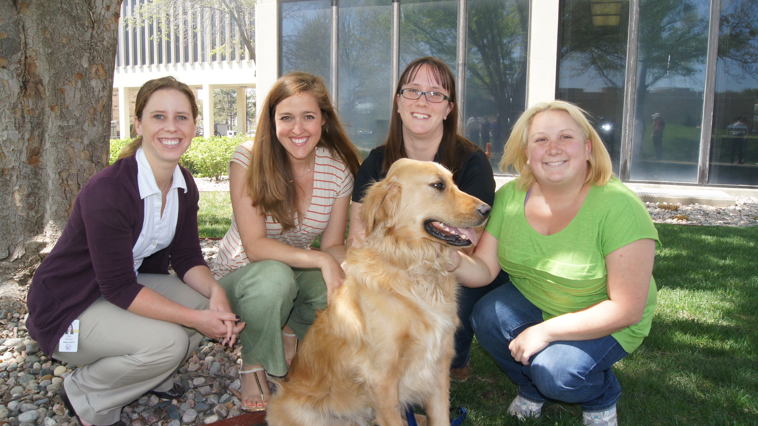 Externships give veterinary students opportunity to experience shelter medicine across the US