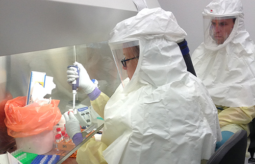 Researchers perform a coronavirus test. 