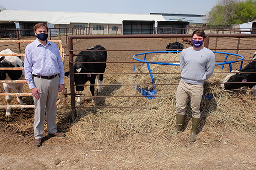 men with cattle