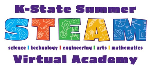 Summer STEAM Virtual Academy logo