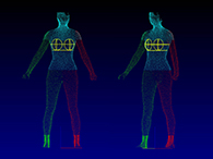 3D body scan