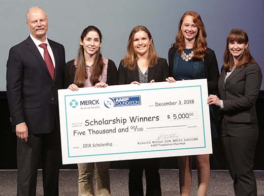 Kansas State University veterinary student Kate Rigby, fourth from left, with fellow American Association of Equine Practitioners Foundation Scholarship recipients