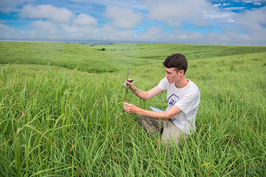 Researcher on Konza Prairie