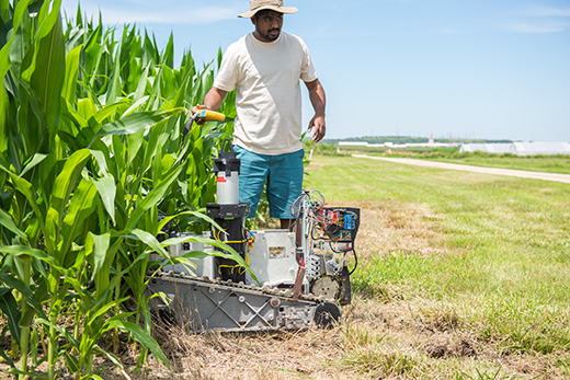 Agriculture robot