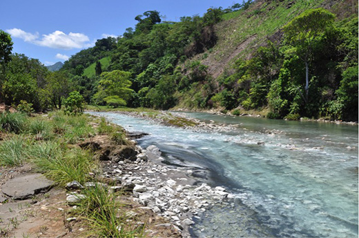 Hydrogen sulfide-rich spring