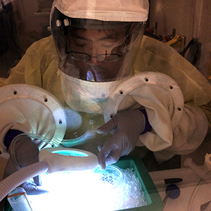 Study at the Biosecurity Research Institute