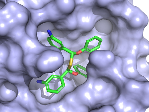 molecule and viral target