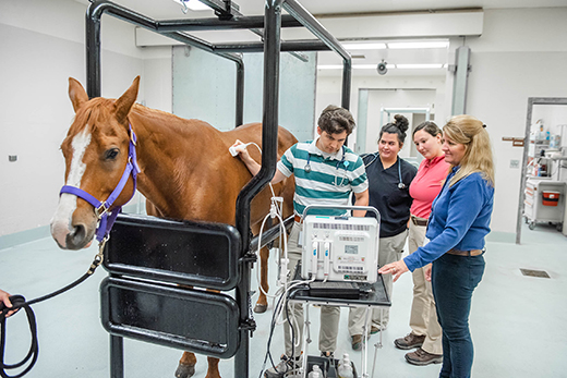 College of Veterinary Medicine early admissions