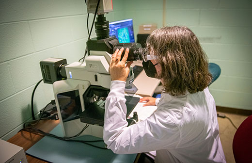 Kimberly Kirkpatrick, Kansas State University distinguished professor of psychological sciences and CNAP director, works at a microscope.