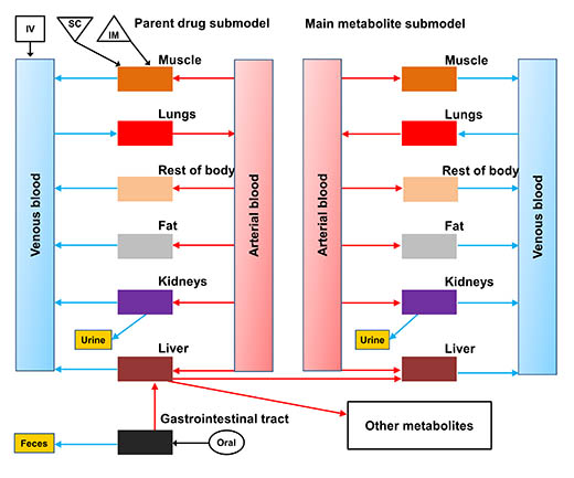 general physiologically based pharmacokinetic 