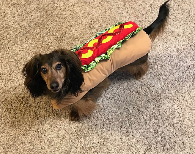 Hot dog