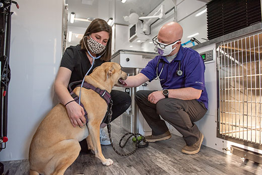 mobile surgery unit