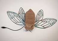 Stuffed cicada close-up