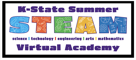 Virtual Summer STEAM Academy