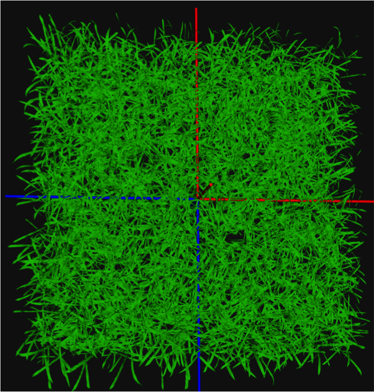 A 3D simulation of wheat leaves