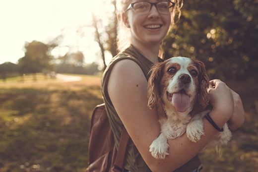 Pet owner holds dog (stock photo)