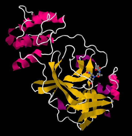 Protease inhibitor