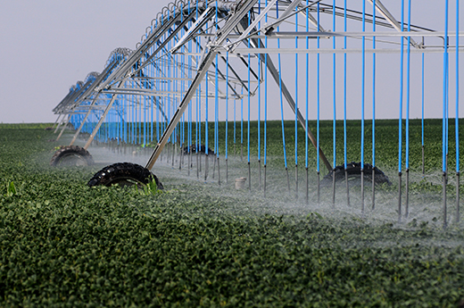 Aquifer irrigation