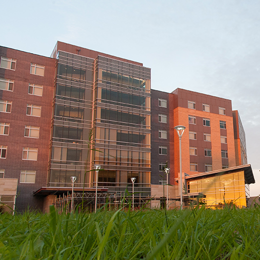 Wefald Hall