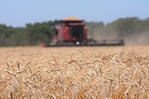 Combine harvesting